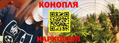 дживик Гай