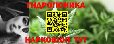 ПСИЛОЦИБИНОВЫЕ ГРИБЫ Гагарин