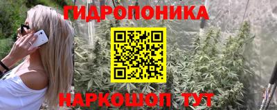 ПСИЛОЦИБИНОВЫЕ ГРИБЫ Гагарин