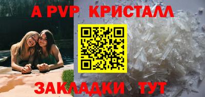 дживик Гай