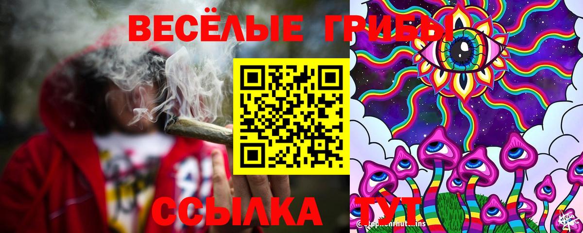 Псилоцибиновые грибы ЛСД  как найти закладки  Губаха  Вход с VPN  Галлюциногенные грибы прущие грибы 