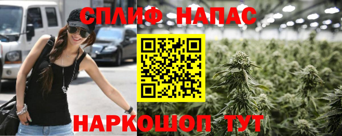 Шишки марихуана гибрид Губаха
