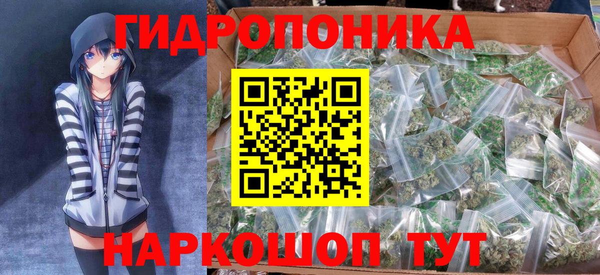 Шишки марихуана OG Kush  Вход с VPN  Каннабис сатива  Бошки Шишки Bruce Banner  Губаха 